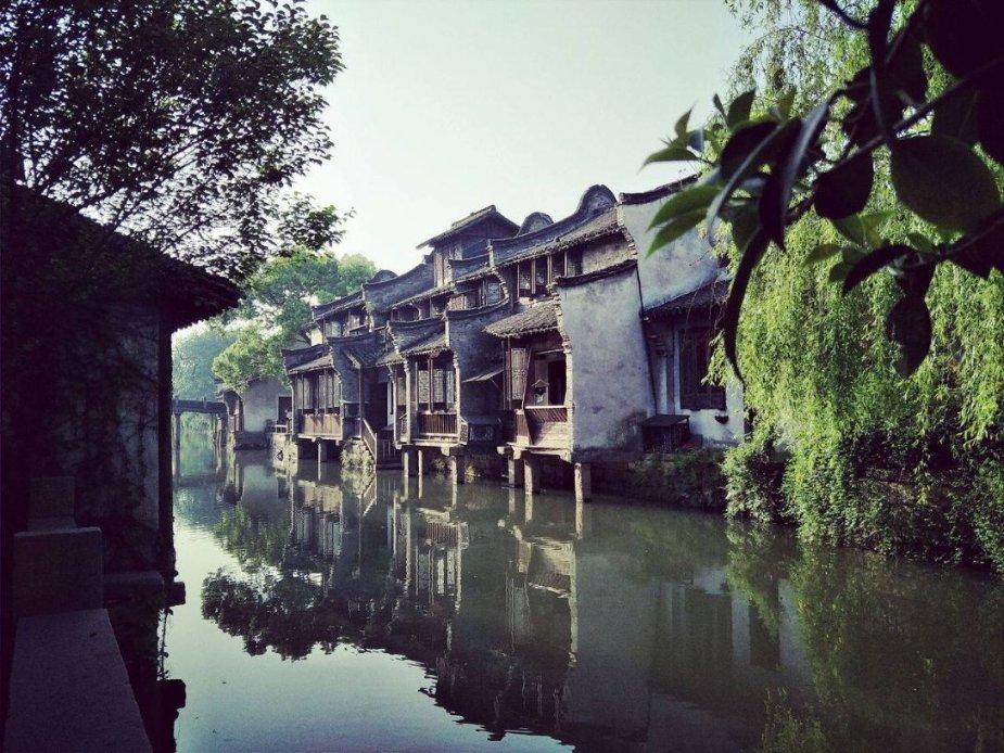 破碎的动物图形2